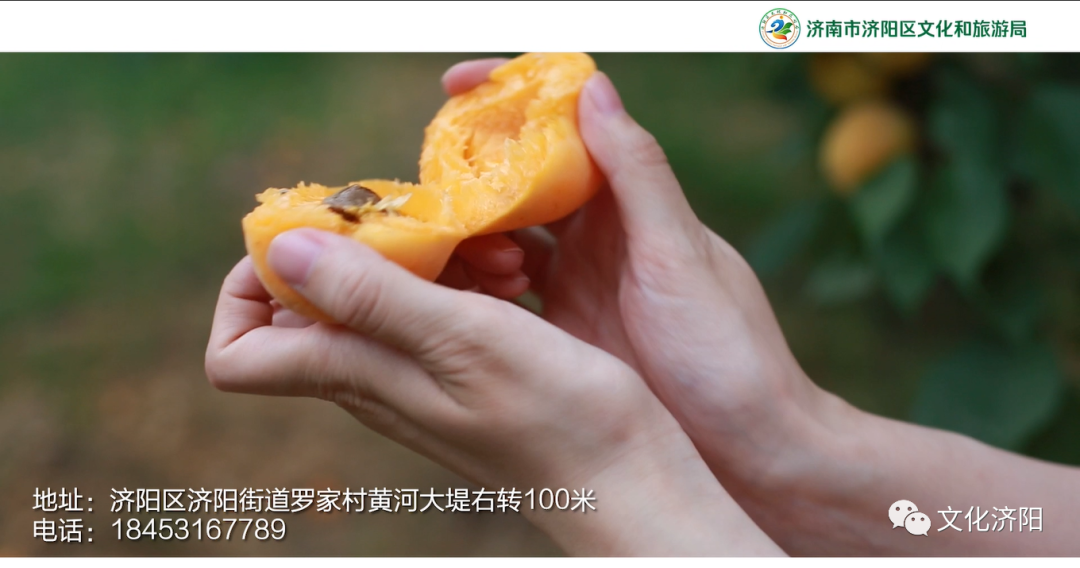 图片7.png