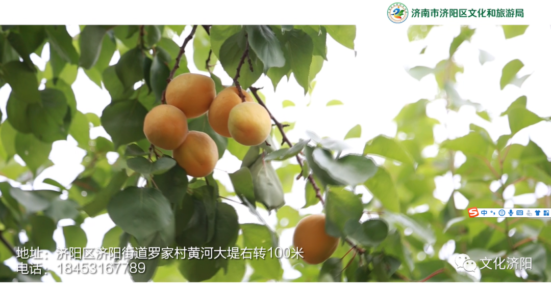 图片8.png