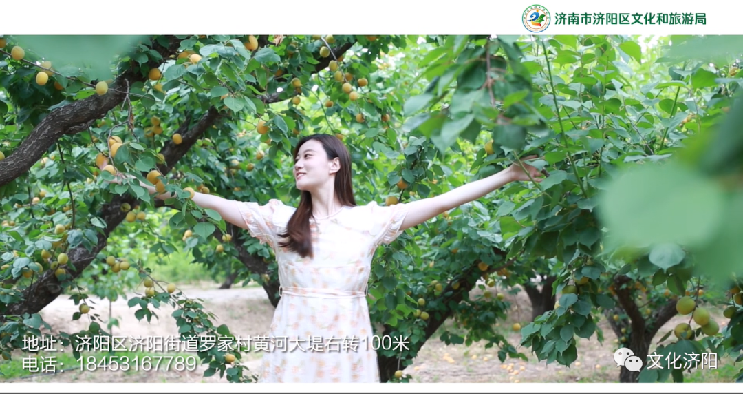 图片6.png