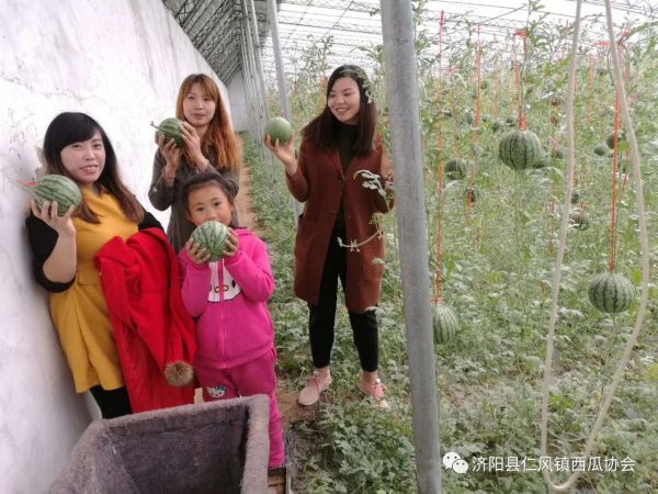 微信图片_20180427174737
