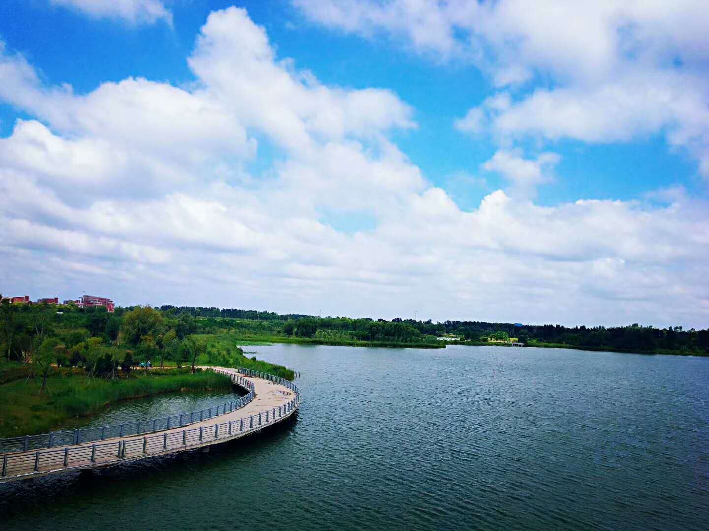 济南市济阳区政府 部门动态 济阳的雨后美景!一组照片刷爆你朋友圈!